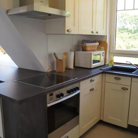 Muschelsucher In Schlagsdorf Auf *