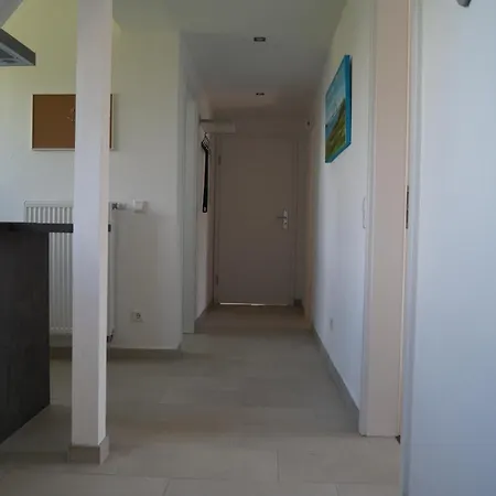 Muschelsucher In Schlagsdorf Auf * Femern